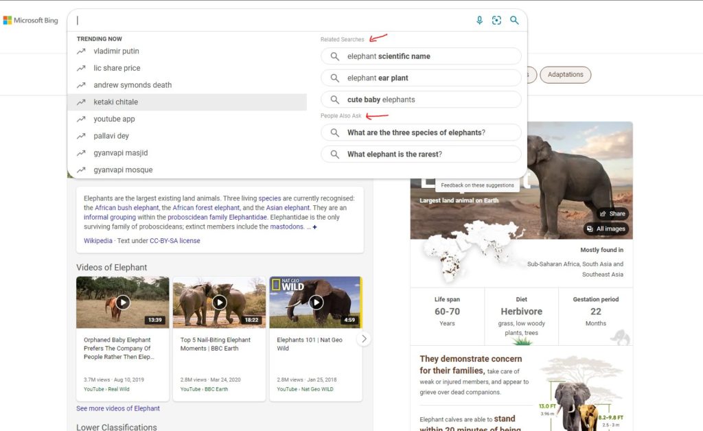 Microsoft Bing is Testing Out Autocomplete Search Bar with Trending, Related & People Also Ask