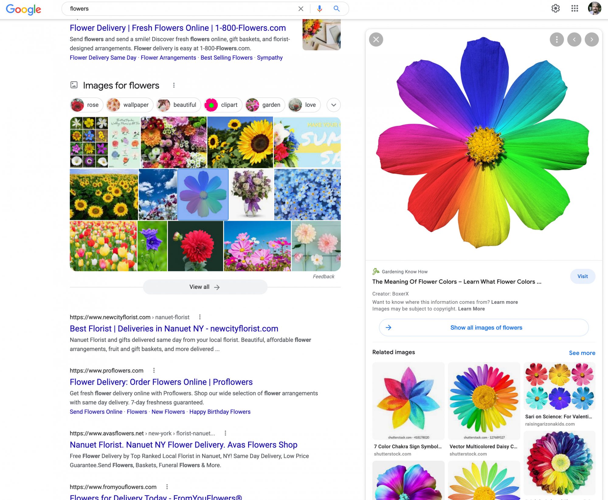 New Image Preview Interface in Google Search
